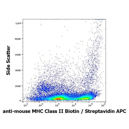 Flow Cytometry - Anti-MHC Class II Antibody [M5/114] (Biotin) (A254437)