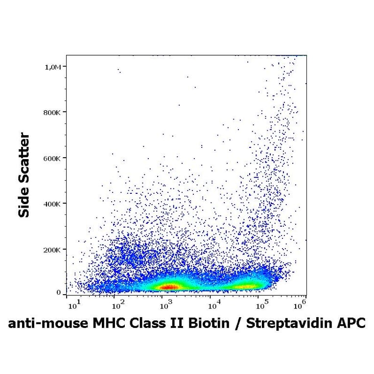 Flow Cytometry - Anti-MHC Class II Antibody [M5/114] (Biotin) (A254437)