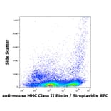 Flow Cytometry - Anti-MHC Class II Antibody [M5/114] (Biotin) (A254437)