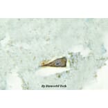 Anti-SR-4 (D47) Antibody from Bioworld Technology (BS2390) - Antibodies.com