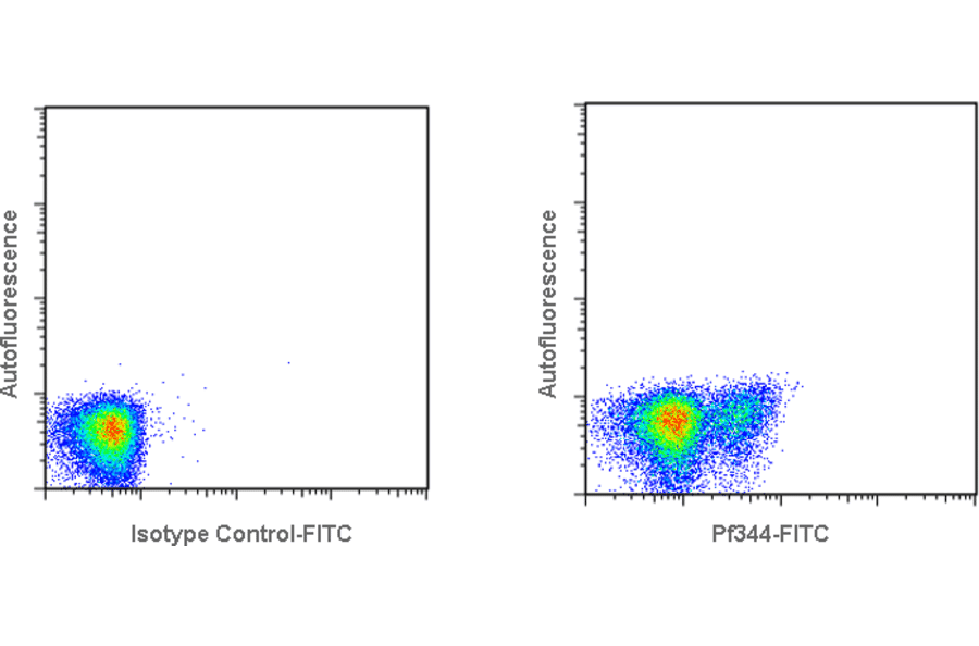 Flow Cytometry - Anti-Interferon gamma Antibody [MT307] (FITC) (A269800) - Antibodies.com
