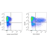 Flow Cytometry - Anti-Interferon gamma Antibody [P2C11] (PF647P) (A269822) - Antibodies.com