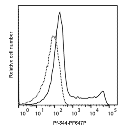 Flow Cytometry - Anti-Perforin Antibody [Pf-344] (PF647P) (A269823) - Antibodies.com