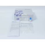 Kit Box - Anti-SARS-CoV-2 Neutralization Antibody Test Kit (Colloidal Gold) (CP04010-25) - Antibodies.com