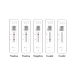 Interpretation of Results - Anti-SARS-CoV-2 Neutralization Antibody Test Kit (Colloidal Gold) (CP04010-25) - Antibodies.com