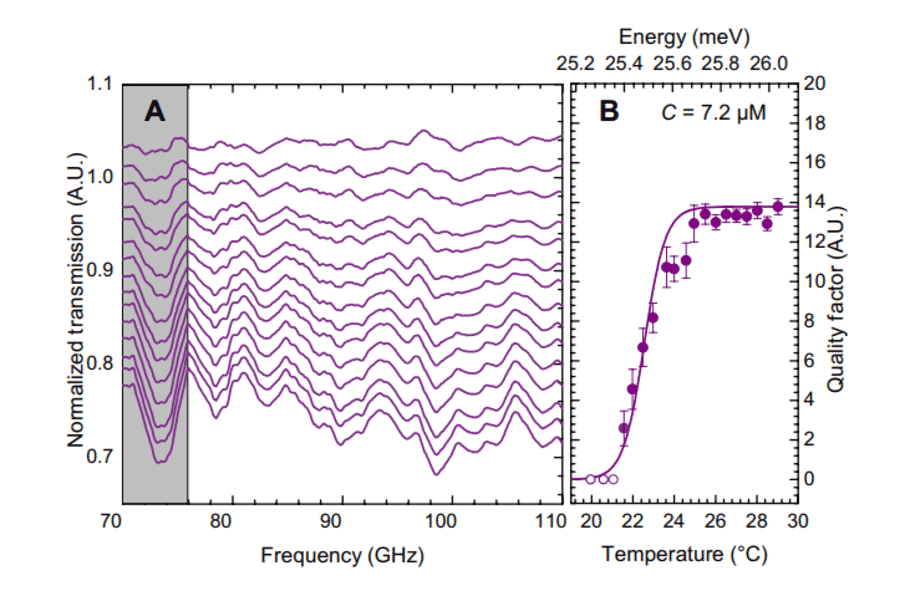 Transmission Spectroscopy - R-Phycoerythrin (R-PE) - Antibodies.com