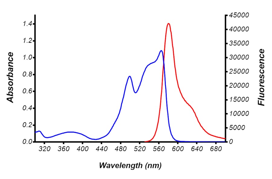 Fluorescence Spectrum - R-PE Labeling Kit (HA-301) - Antibodies.com