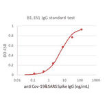 Functional Studies - Recombinant SARS-CoV-2 Spike Protein (B.1.351 Variant) (Functional) (A269990) - Antibodies.com