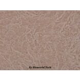 Anti-Integrin β3 (phospho-Y773) Antibody from Bioworld Technology (BS4103) - Antibodies.com