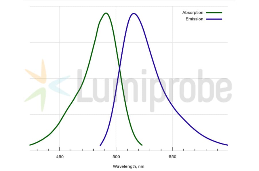 Fluorescence Spectra - Fluorescent Dye 488 NHS ester (A270022) - Antibodies.com