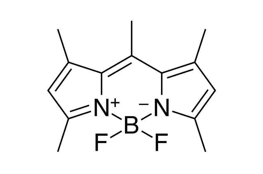 Chemical Structure - BDP 493/503 lipid stain (A270055) - Antibodies.com