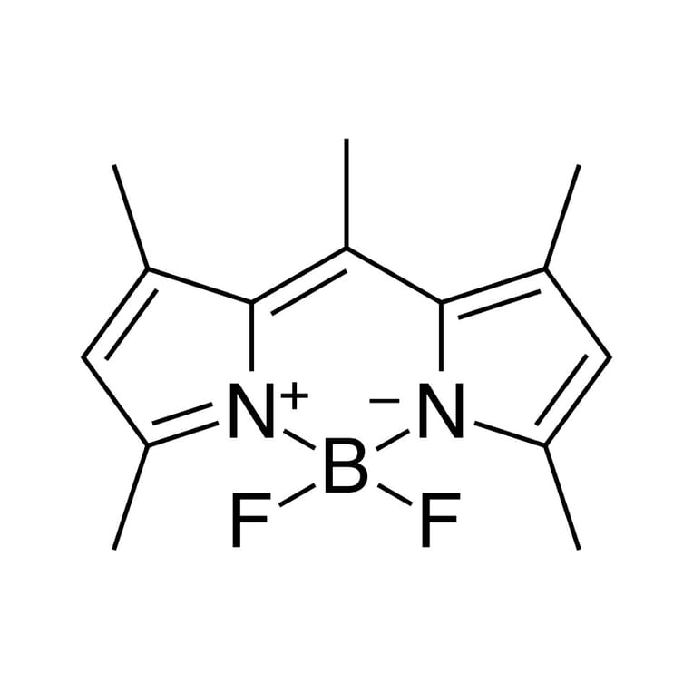 Chemical Structure - BDP 493/503 lipid stain (A270055) - Antibodies.com