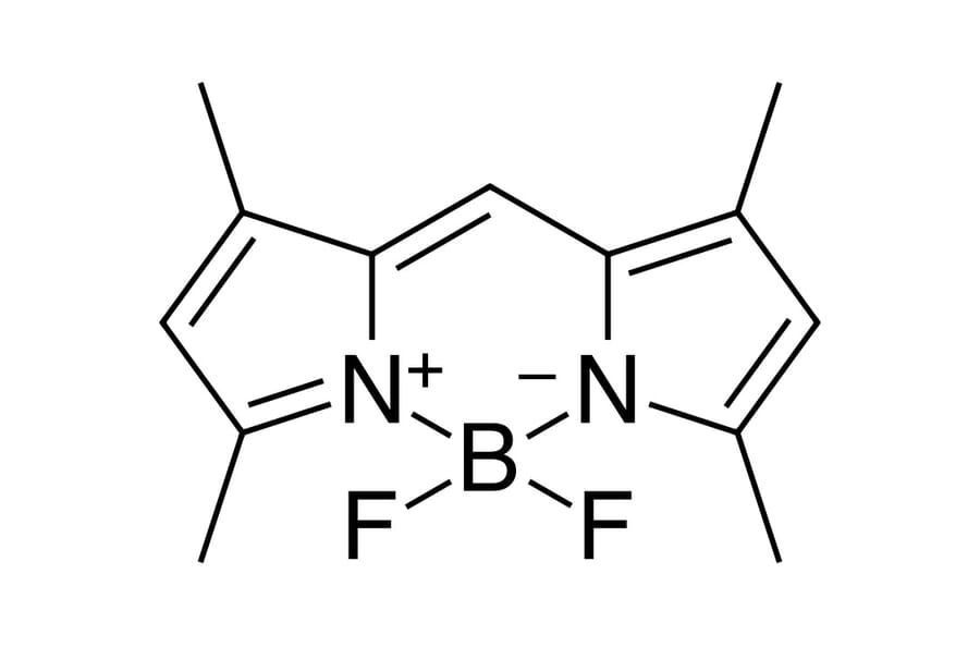 Chemical Structure - BDP 505/515 lipid stain (A270056) - Antibodies.com
