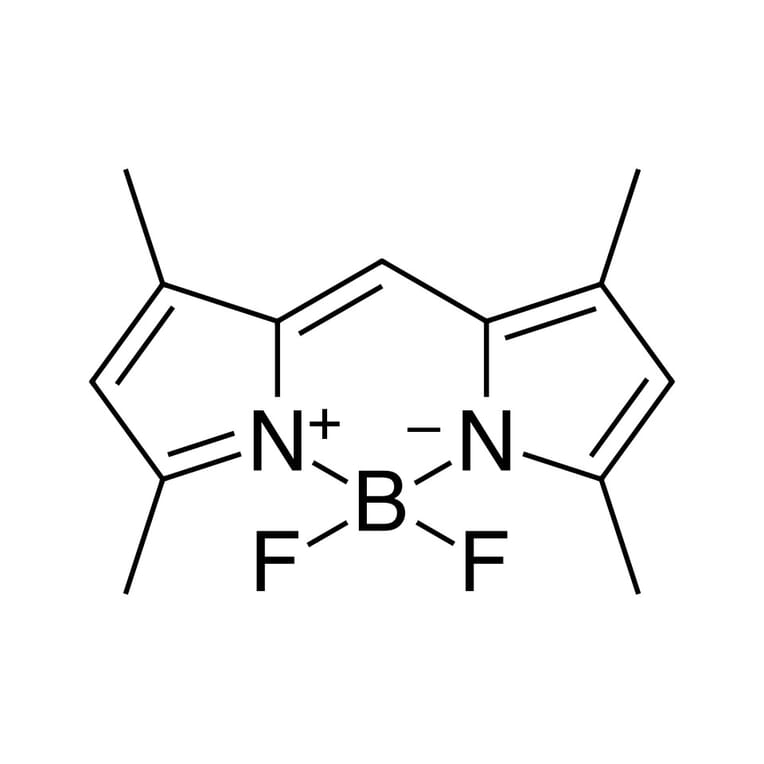 Chemical Structure - BDP 505/515 lipid stain (A270056) - Antibodies.com