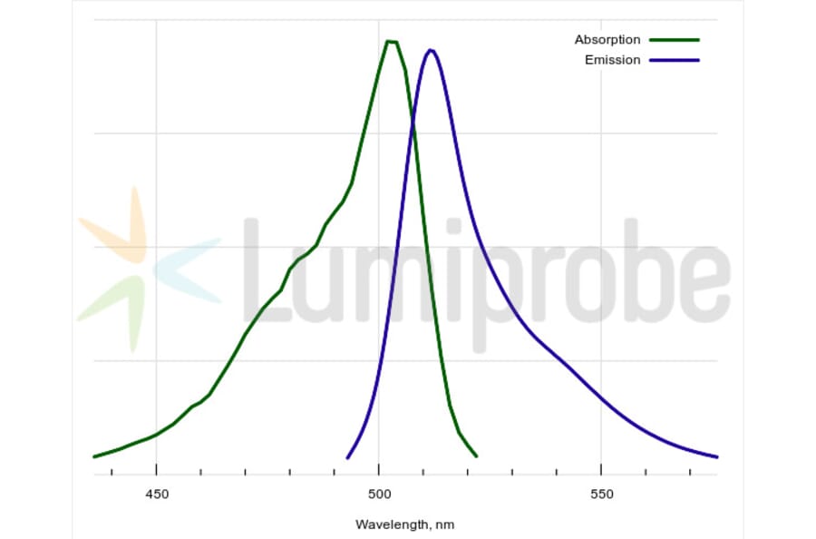 Fluorescence Spectra - BDP 505/515 lipid stain (A270056) - Antibodies.com