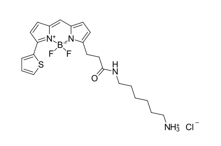 Chemical Structure - BDP 558/568 amine (A270058) - Antibodies.com