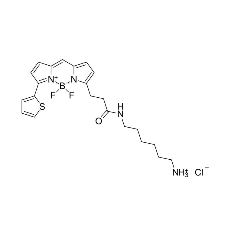 Chemical Structure - BDP 558/568 amine (A270058) - Antibodies.com