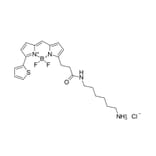 Chemical Structure - BDP 558/568 amine (A270058) - Antibodies.com