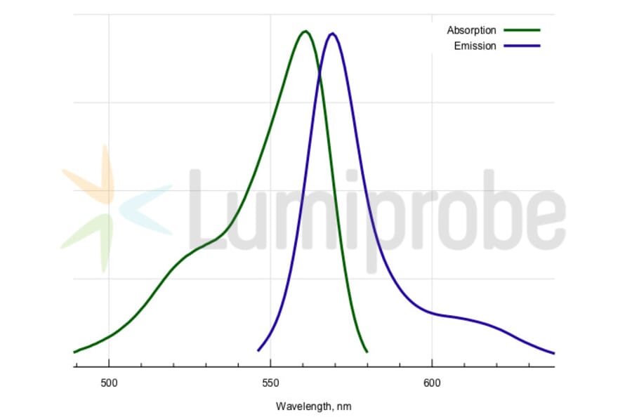 Fluorescence Spectra - BDP 558/568 amine (A270058) - Antibodies.com