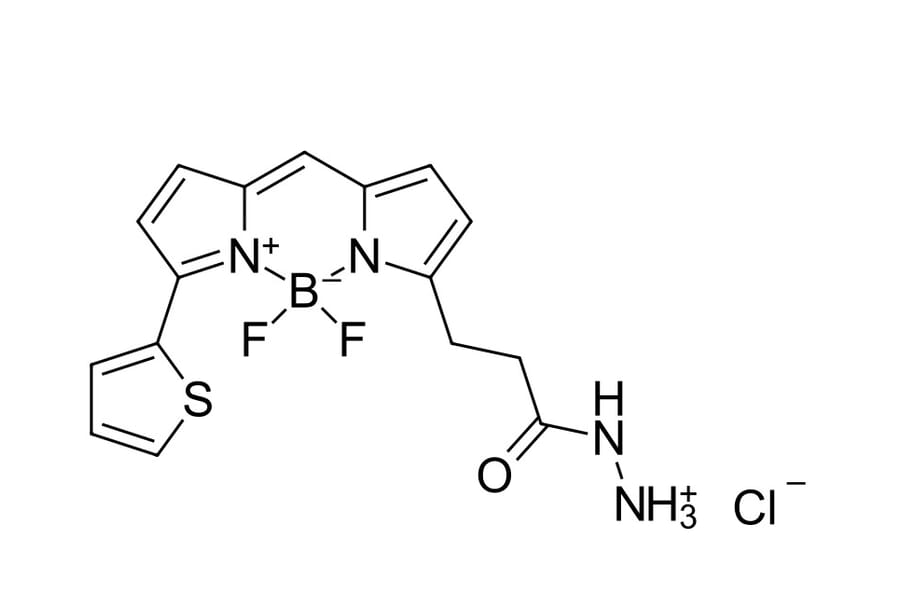 Chemical Structure - BDP 558/568 hydrazide (A270061) - Antibodies.com