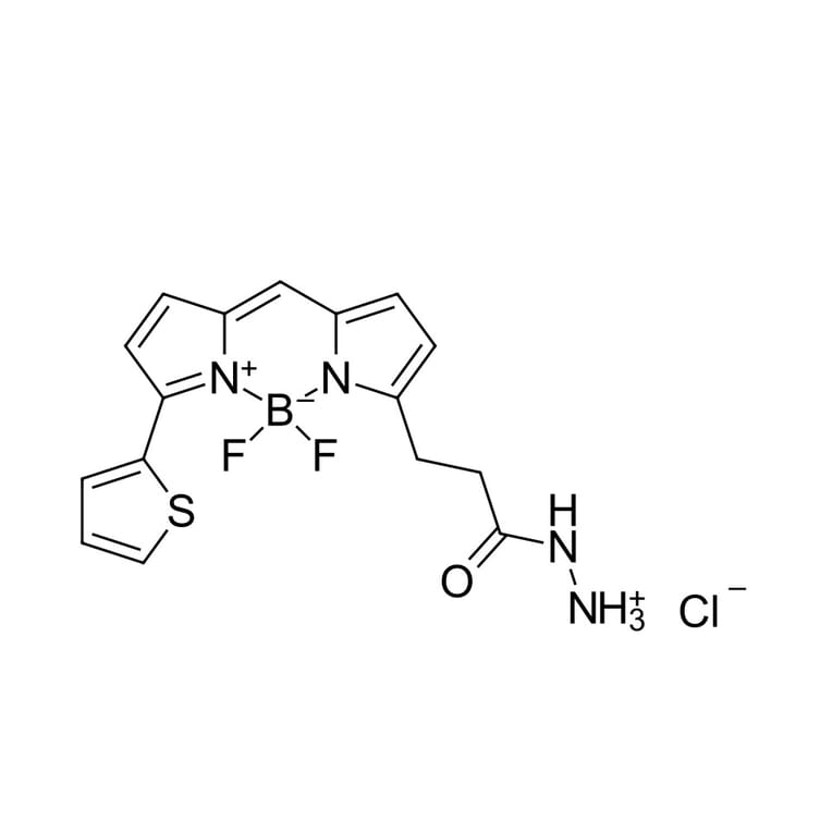 Chemical Structure - BDP 558/568 hydrazide (A270061) - Antibodies.com