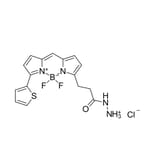 Chemical Structure - BDP 558/568 hydrazide (A270061) - Antibodies.com
