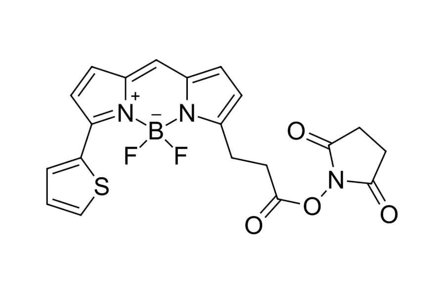 Chemical Structure - BDP 558/568 NHS ester (A270062) - Antibodies.com