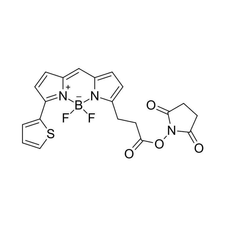 Chemical Structure - BDP 558/568 NHS ester (A270062) - Antibodies.com