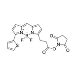 Chemical Structure - BDP 558/568 NHS ester (A270062) - Antibodies.com
