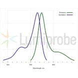 Fluorescence Spectra - BDP 564/570 carboxylic acid (A270063) - Antibodies.com