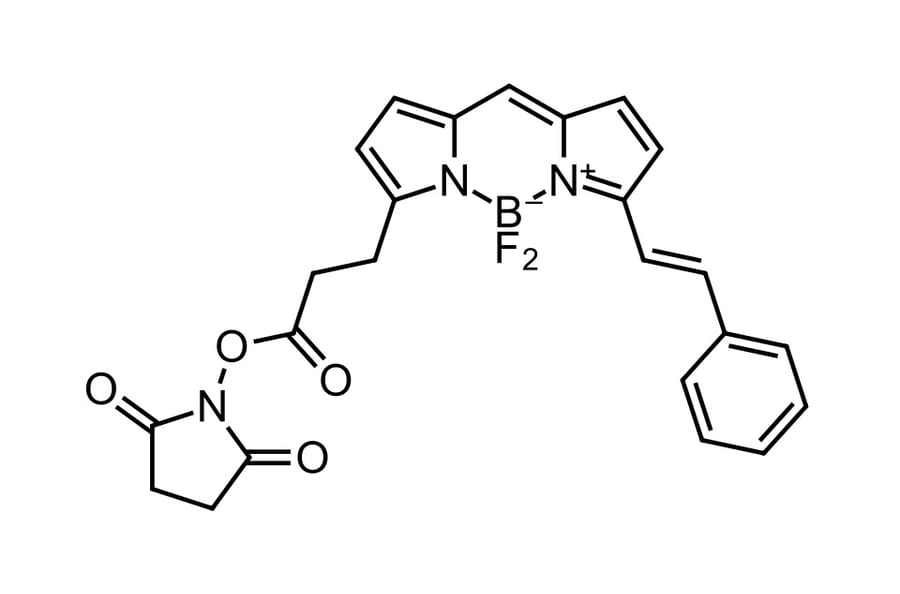 Chemical Structure - BDP 564/570 NHS ester (A270064) - Antibodies.com