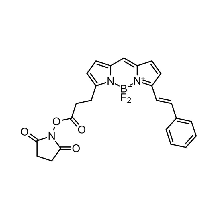 Chemical Structure - BDP 564/570 NHS ester (A270064) - Antibodies.com