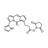 Chemical Structure - BDP 576/589 NHS ester (A270066) - Antibodies.com