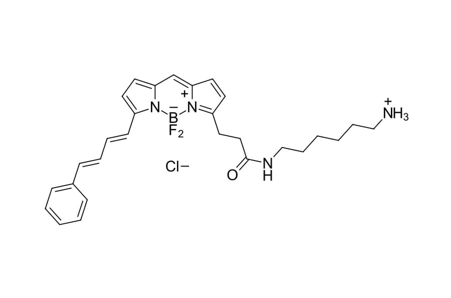 Chemical Structure - BDP 581/591 amine (A270069) - Antibodies.com