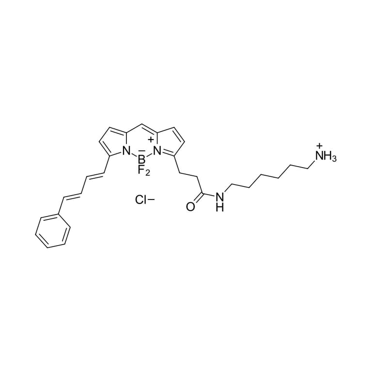 Chemical Structure - BDP 581/591 amine (A270069) - Antibodies.com