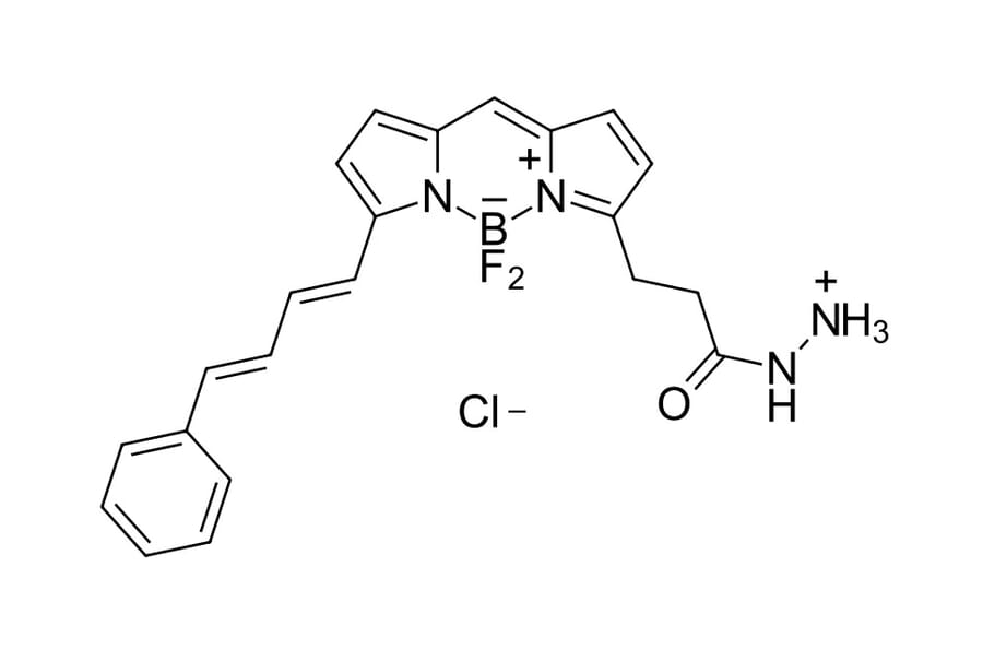 Chemical Structure - BDP 581/591 hydrazide (A270073) - Antibodies.com