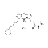 Chemical Structure - BDP 581/591 hydrazide (A270073) - Antibodies.com