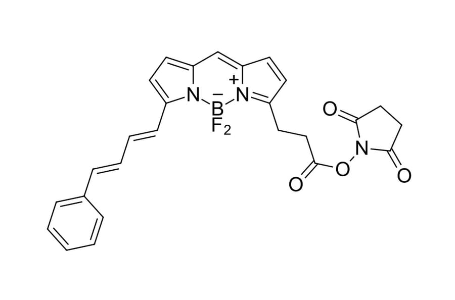 Chemical Structure - BDP 581/591 NHS ester (A270075) - Antibodies.com