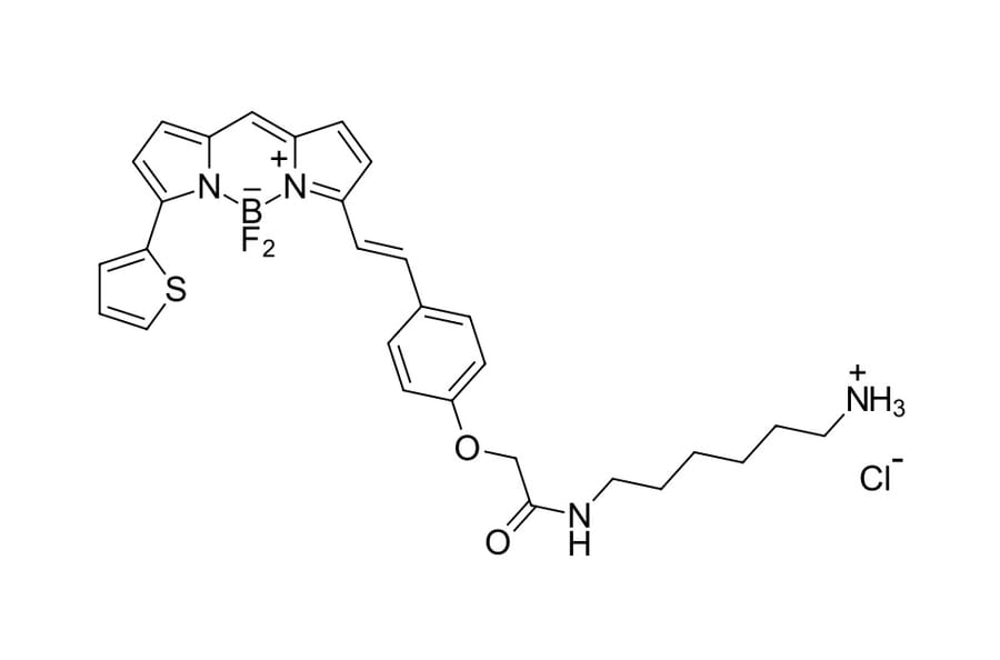 Chemical Structure - BDP 630/650 amine (A270078) - Antibodies.com