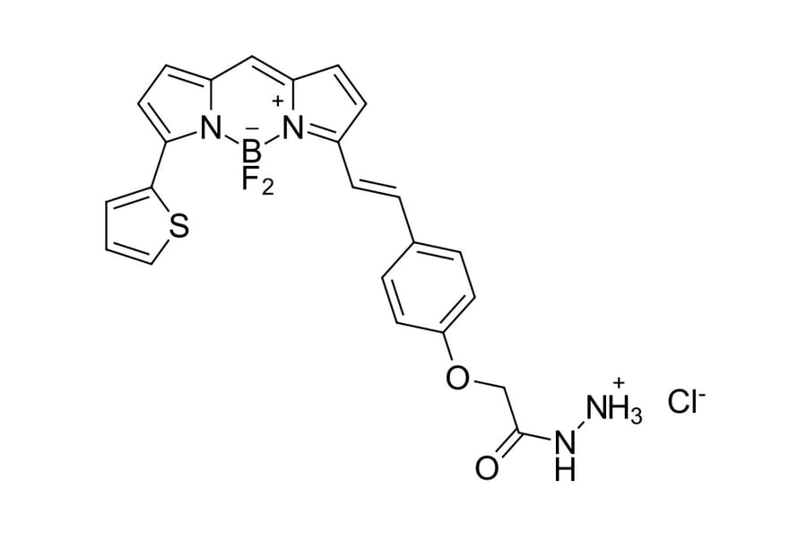 Chemical Structure - BDP 630/650 hydrazide (A270081) - Antibodies.com