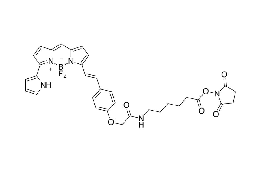Chemical Structure - BDP 650/665 X NHS ester (A270088) - Antibodies.com
