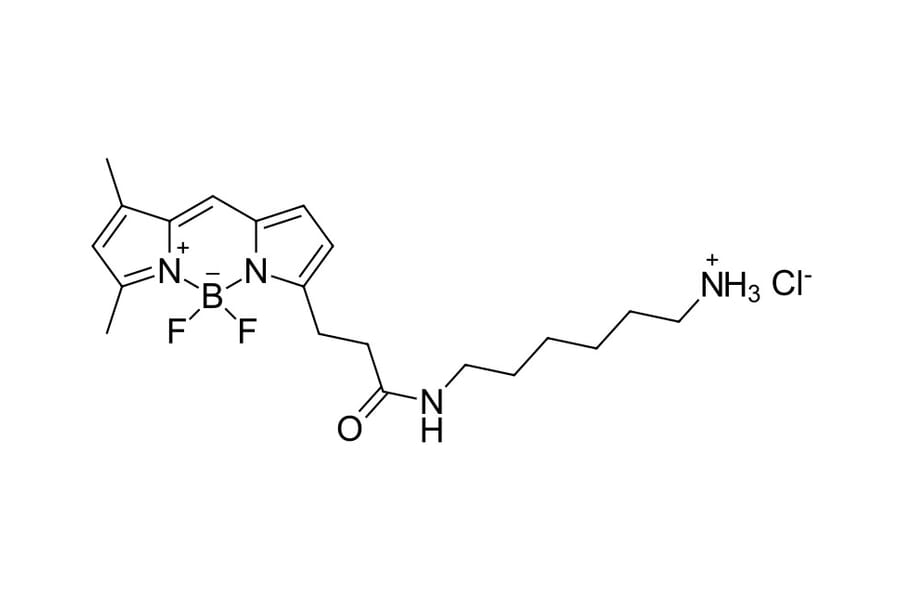 Chemical Structure - BDP FL amine (A270090) - Antibodies.com