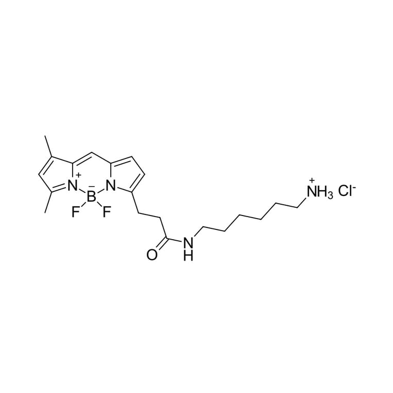 Chemical Structure - BDP FL amine (A270090) - Antibodies.com