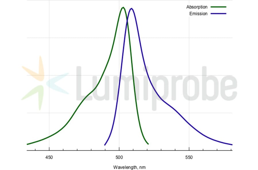 Fluorescence Spectra - BDP FL amine (A270090) - Antibodies.com