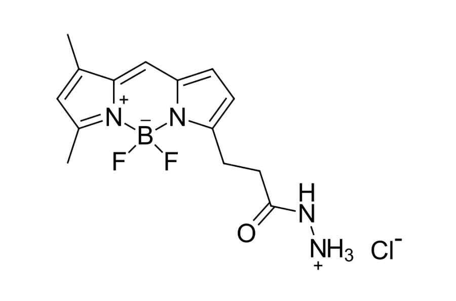 Chemical Structure - BDP FL hydrazide (A270094) - Antibodies.com