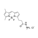 Chemical Structure - BDP FL hydrazide (A270094) - Antibodies.com