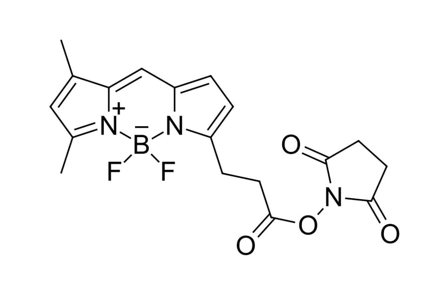 Chemical Structure - BDP FL NHS ester (A270096) - Antibodies.com