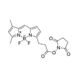 Chemical Structure - BDP FL NHS ester (A270096) - Antibodies.com
