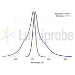 Fluorescence Spectra - BDP FL tetrazine (A270097) - Antibodies.com