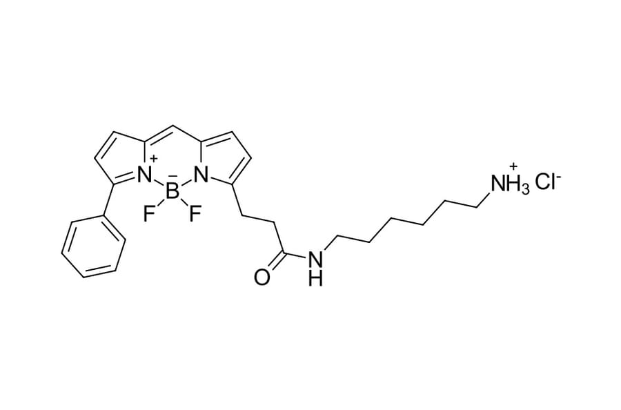 Chemical Structure - BDP R6G amine (A270099) - Antibodies.com